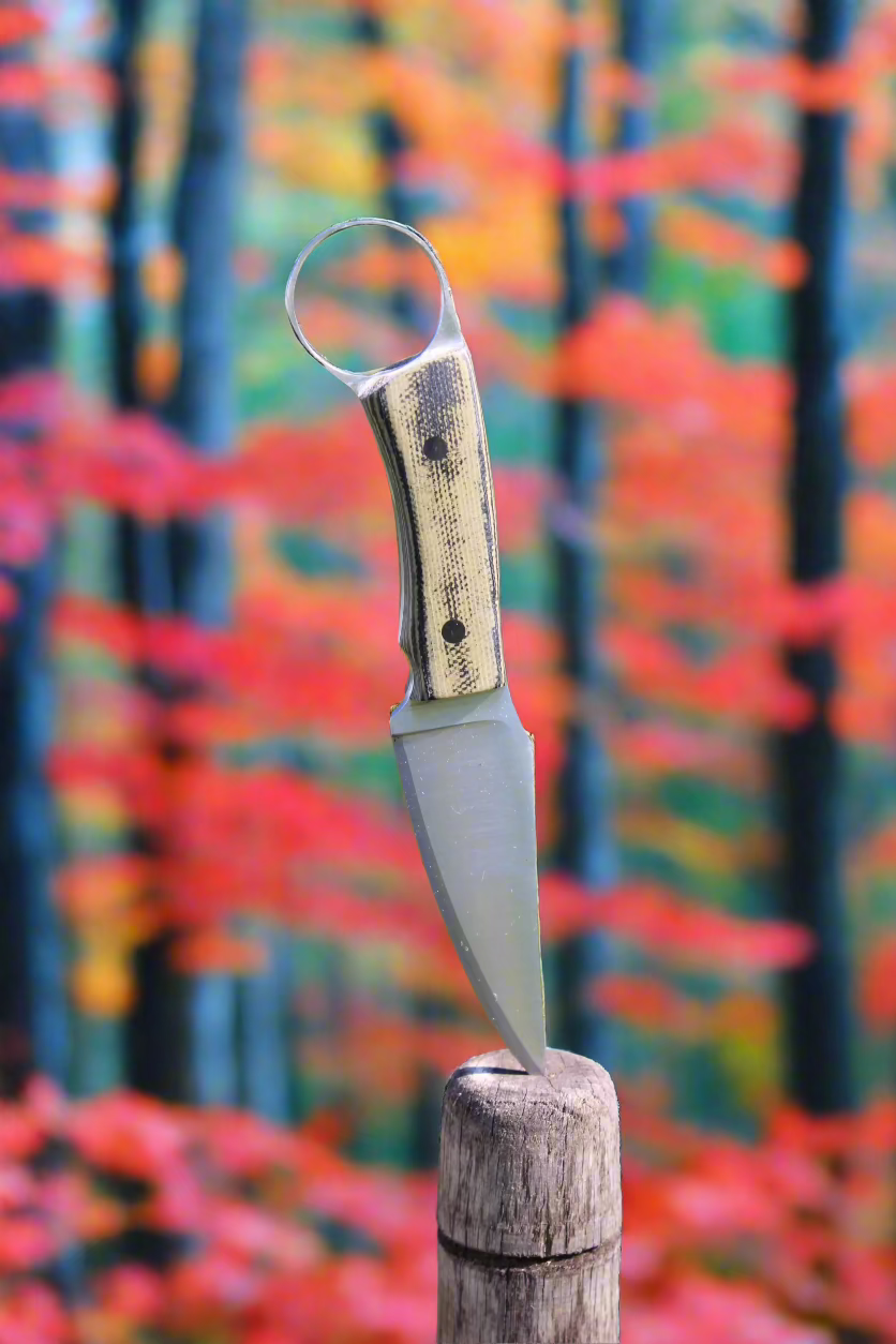 EDC
